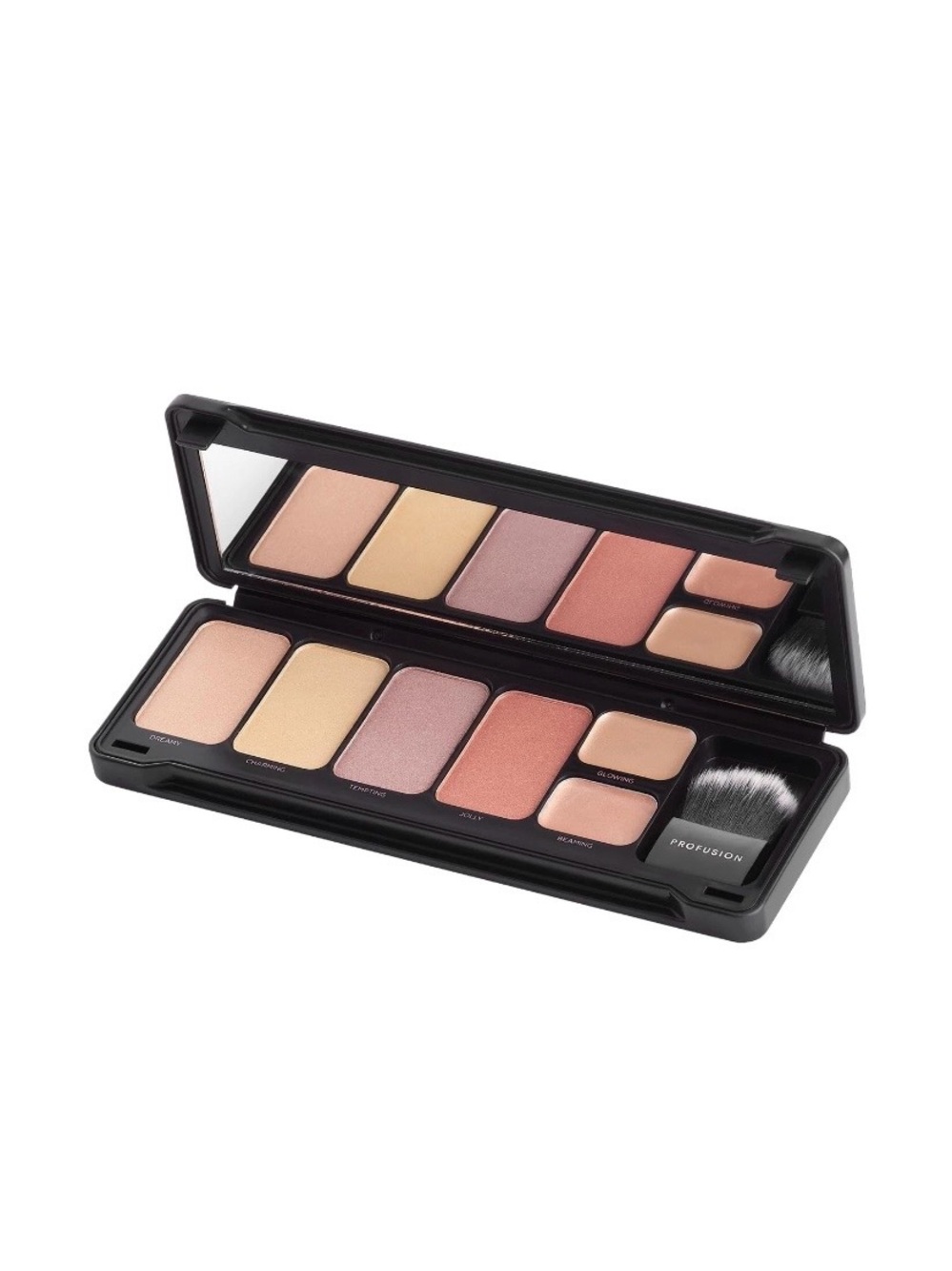 Profusion Cosmetics 6 Shade Contour Palette and Brush Kit 6873-11SET Black Case